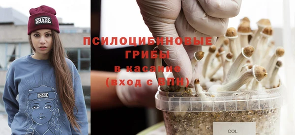 крисы Белоозёрский
